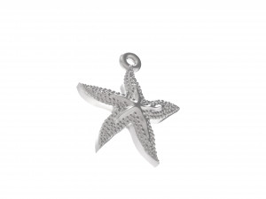excellent starfish 3D 打印模型