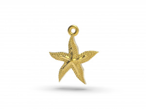 excellent starfish 3D 打印模型