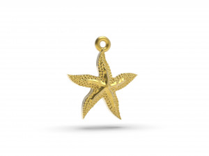 excellent starfish 3D 打印模型