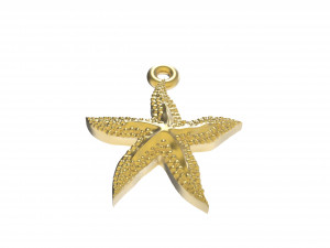 excellent starfish 3D 打印模型