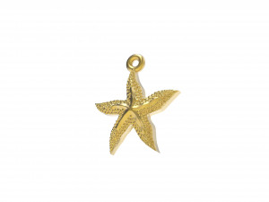 excellent starfish 3D 打印模型