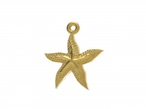 excellent starfish 3D 打印模型
