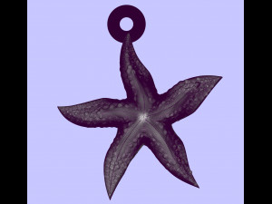 excellent starfish 3D 打印模型