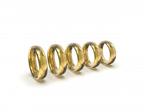 5 variants of rings from the movie lord of the rings Modello di stampa 3D
