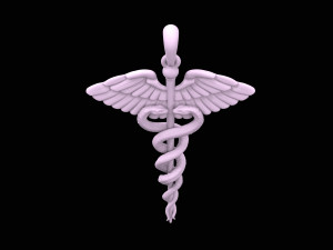 new caduceus pendant Modello 3D