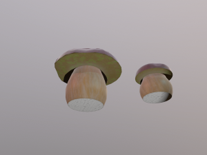 mushroom Model 3D