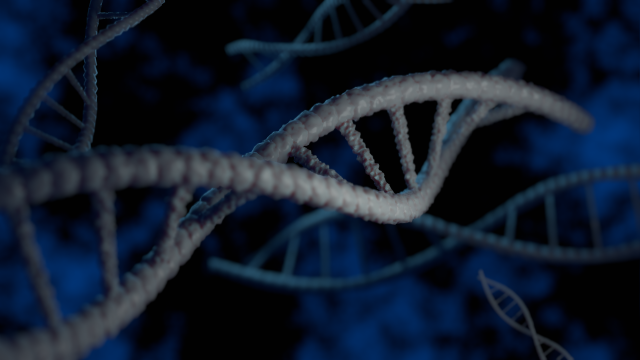 stylized dna double helix 3Dモデル .c4d .max .obj .3ds .fbx .stl .blend 