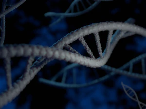 dupla hélice estilizada do DNA Modelo 3D