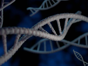 stylized dna double helix 3D Model