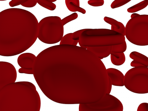 red blood cells Modelo 3D