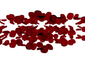red blood cells 3D Model
