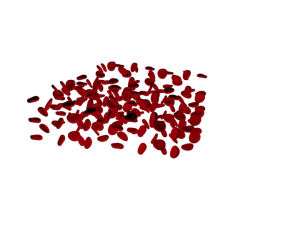 red blood cells Model 3D
