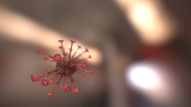 covid - 19 Model 3D .c4d .max .obj .3ds .fbx .stl .blend 