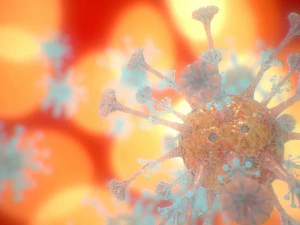 COVID-19（新型コロナウイルス感染症 3Dモデル