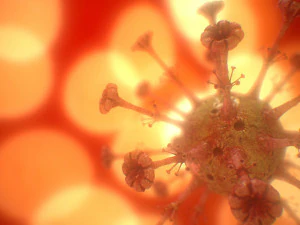 COVID-19（新型コロナウイルス感染症 3Dモデル