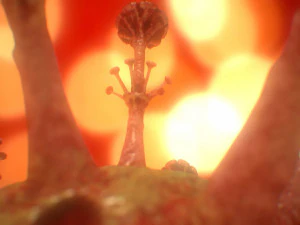 COVID-19（新型コロナウイルス感染症 3Dモデル