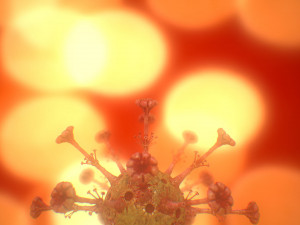 covid - 19 Model 3D