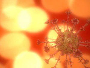 COVID-19（新型コロナウイルス感染症 3Dモデル