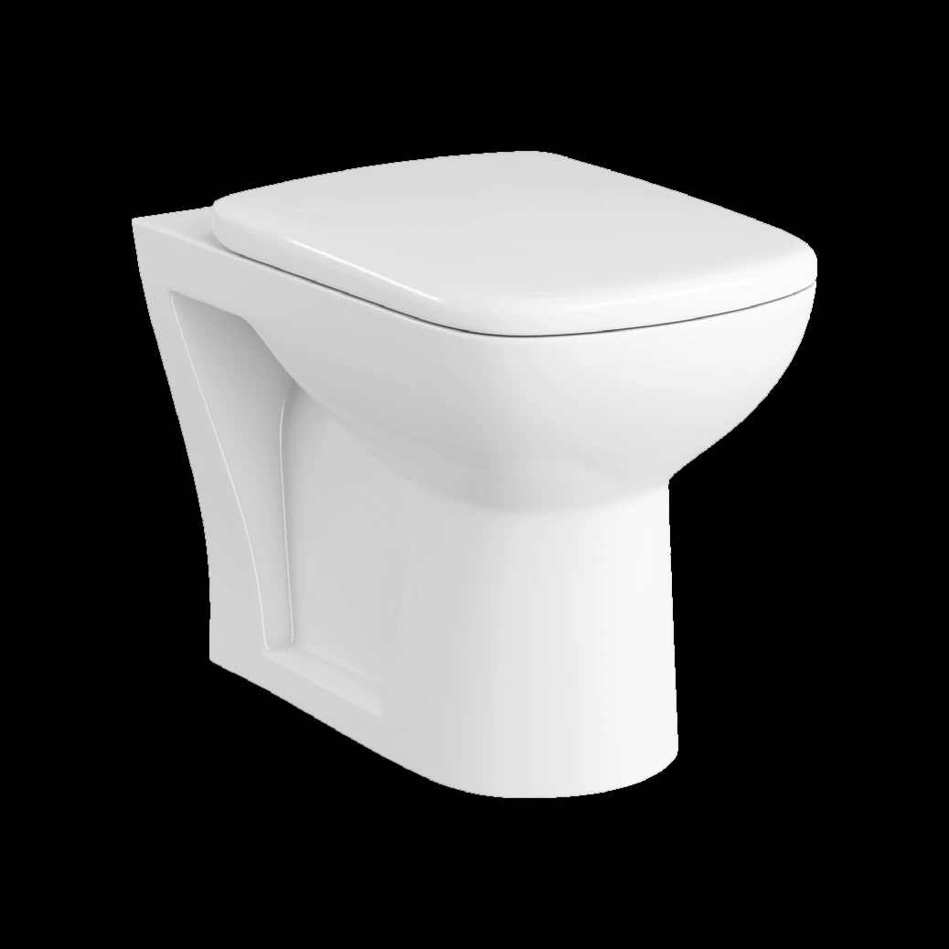 floor mount ewc toilet 3D Model .c4d .max .obj .3ds .fbx .stl .blend