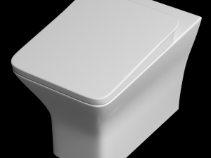 floor mount ewc toilet modeled in 3ds max 3D 모델