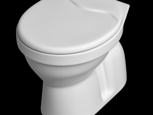 floor mount oval shape ewc toilet modeled in 3ds max Model 3D