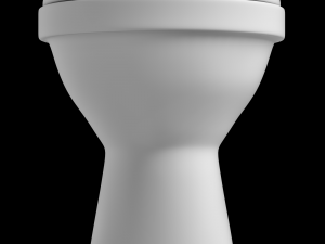 floor mount oval shape ewc toilet modeled in 3ds max Model 3D