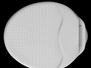 Banheiro ewc de formato oval com montagem no ch&atilde;o modelado em 3ds max Modelo 3D