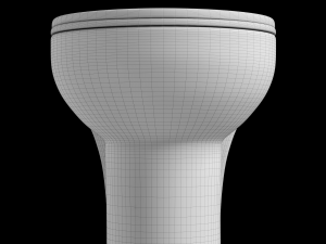 floor mount oval shape ewc toilet modeled in 3ds max 3D 模型