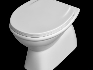 floor mount ewc toilet modeled in 3ds max Model 3D