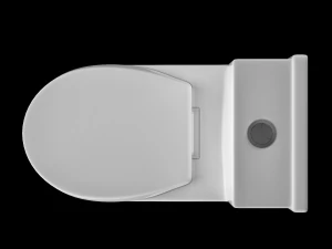 在 3ds max 中建模的一件式 ewc 马桶 3D 模型