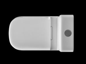 one piece ewc toilet modeled in 3ds max Model 3D