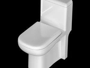 Banheiro ewc de uma pe&ccedil;a modelado em 3ds max Modelo 3D