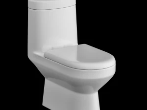 ewc-toilet uit &eacute;&eacute;n stuk gemodelleerd in 3ds max 3D Model