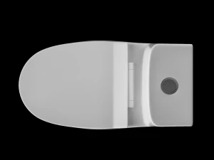 在 3ds max 中建模的一件式 ewc 马桶 3D 模型