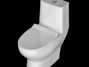 在 3ds max 中建模的一件式 ewc 马桶 3D 模型