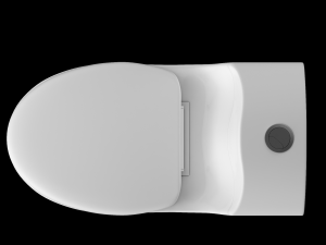 one piece ewc toilet modeled in 3ds max 3D Model