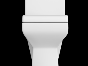 one piece ewc toilet modeled in 3ds max Model 3D