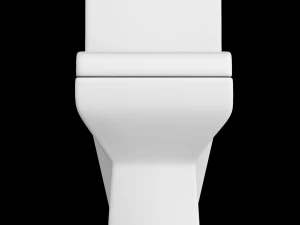 one piece ewc toilet modeled in 3ds max 3D Model