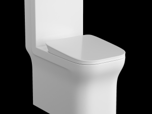 one piece ewc toilet modeled in 3ds max 3D 模型