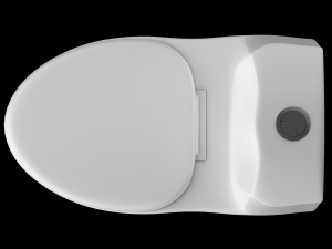 one piece ewc oval shape edge toilet modeled in 3ds max Modèle 3D