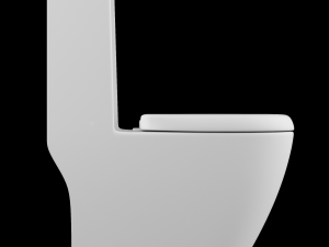 one piece ewc toilet modeled in 3ds max Model 3D