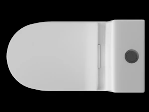 在 3ds max 中建模的一件式 ewc 马桶 3D 模型