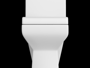 one piece ewc toilet modeled in 3ds max 3D Model