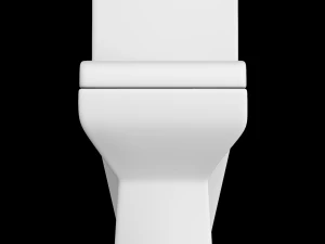 在 3ds max 中建模的一件式 ewc 马桶 3D 模型