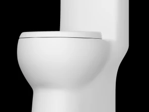 toilettes ewc monobloc mod&eacute;lis&eacute;es en 3ds max Modèle 3D