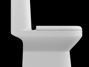 one piece ewc toilet modeled in 3ds max 3D Model