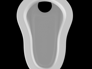 indian pan toilet modeled in 3ds max 3D Model