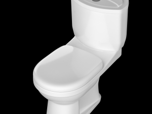 two piece ewc toilet modeled in 3ds max 3D Model
