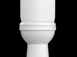 two piece ewc toilet modeled in 3ds max 3D Model