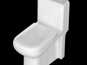 two piece rounded rectangle shape ewc toilet modeled in 3ds max 3D Модель